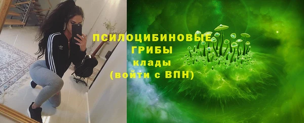 сатива Армянск