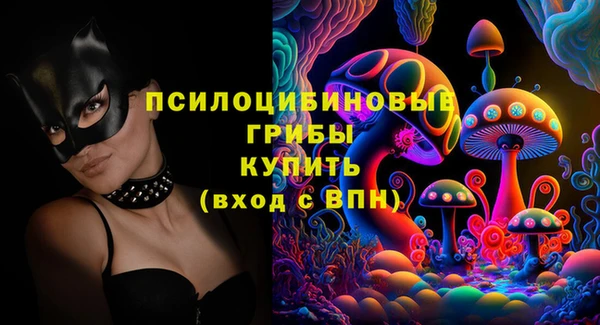 сатива Армянск